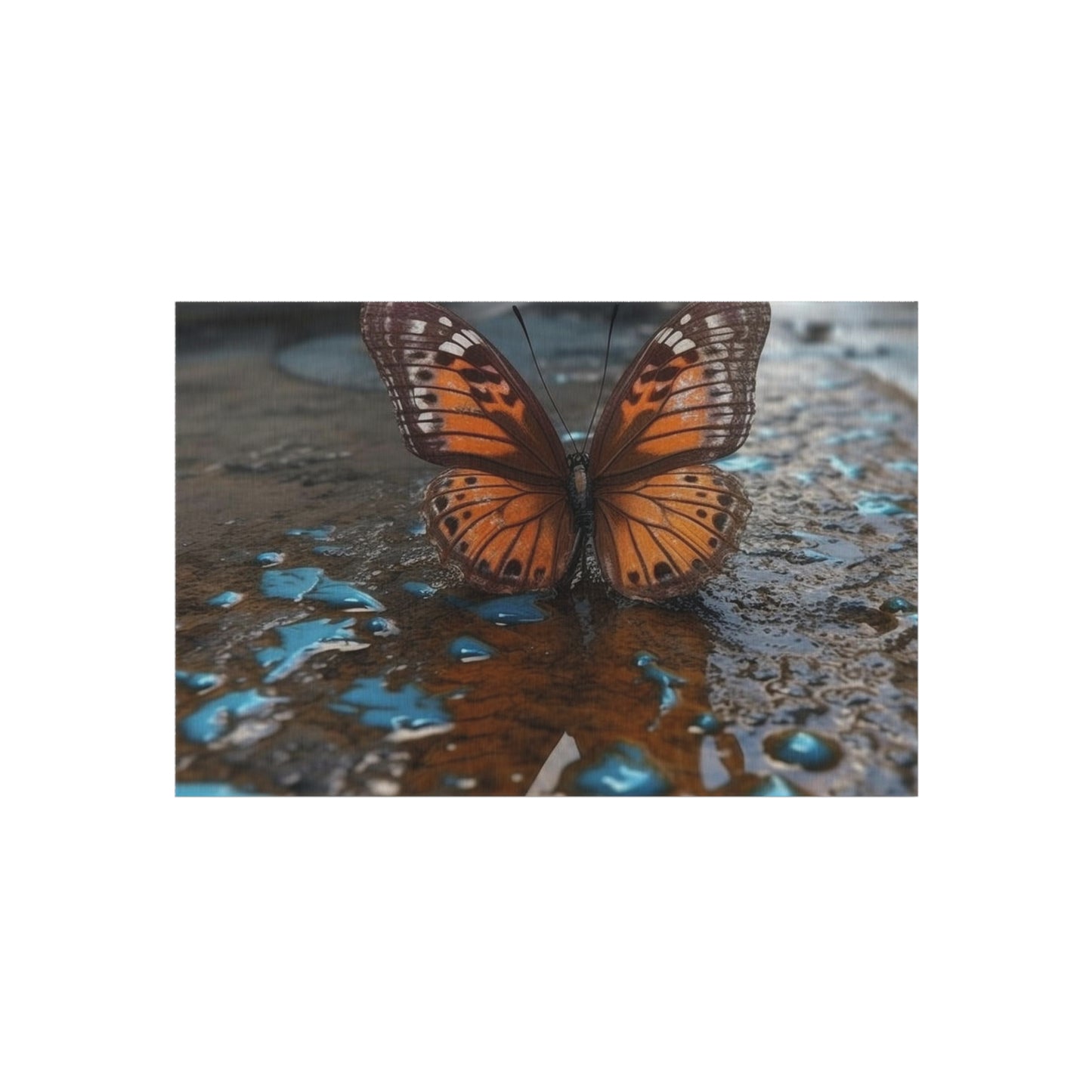 Outdoor Rug  Water Butterfly Street 2