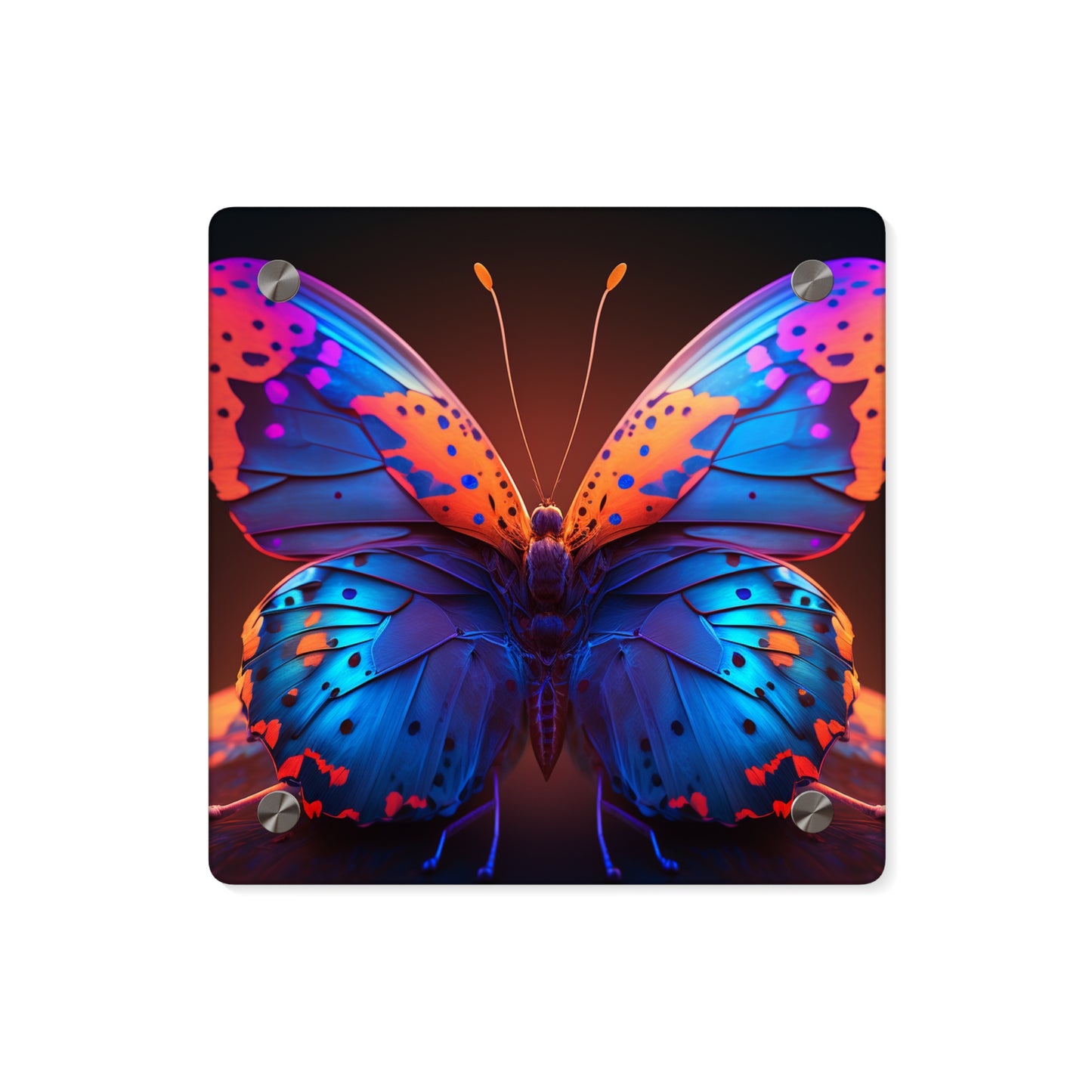 Acrylic Wall Art Panels Neon Butterfly Macro 3