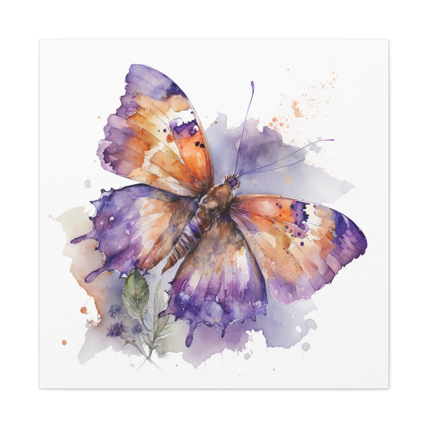 Canvas Gallery Wraps MerlinRose Watercolor Butterfly 1