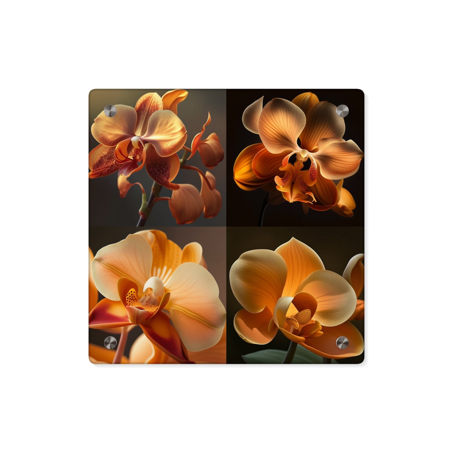 Acrylic Wall Art Panels Orange Orchid 5