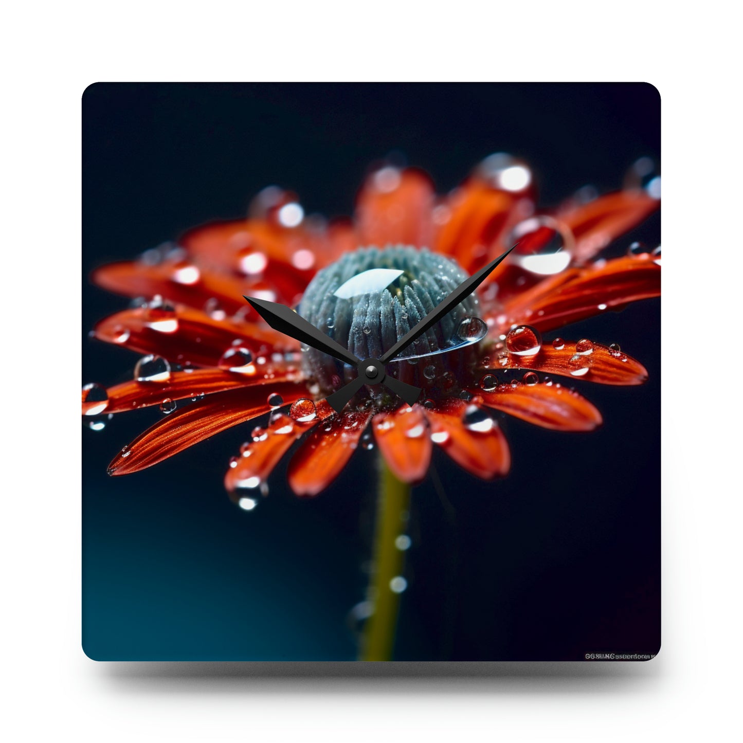 Acrylic Wall Clock Water drop Macro Flower 1