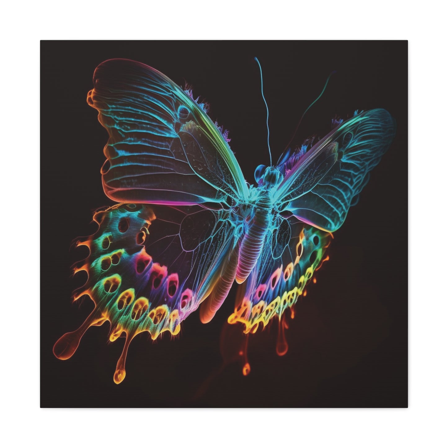 Canvas Gallery Wraps Thermal Butterfly 2