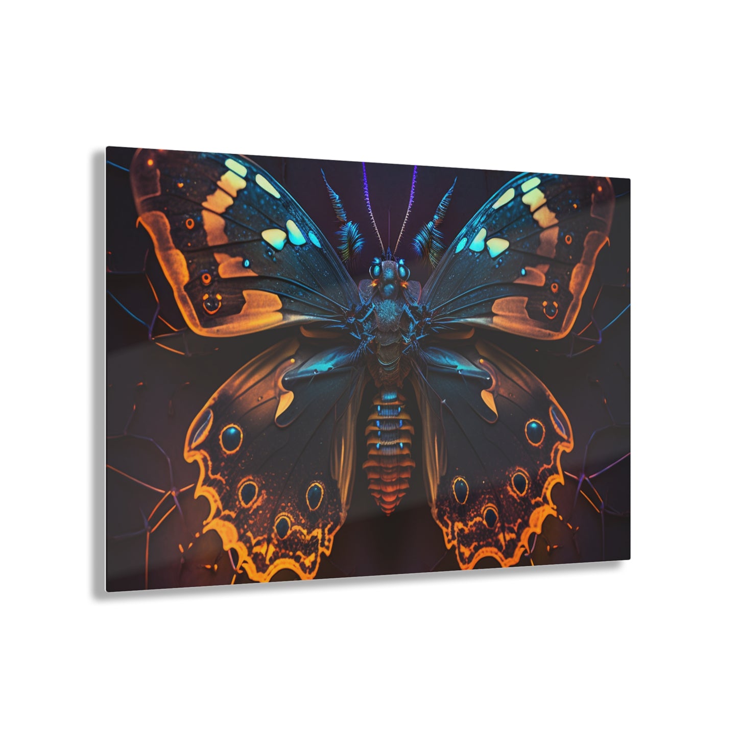 Acrylic Prints Neon Hue Butterfly 2