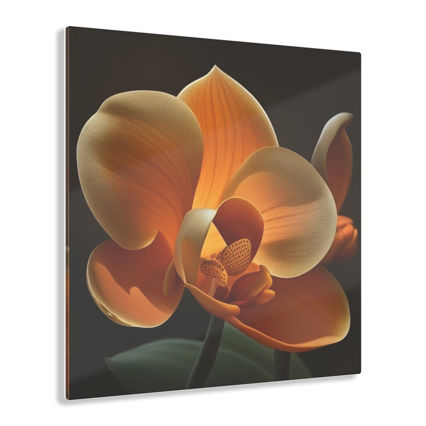 Acrylic Prints Orange Orchid 4