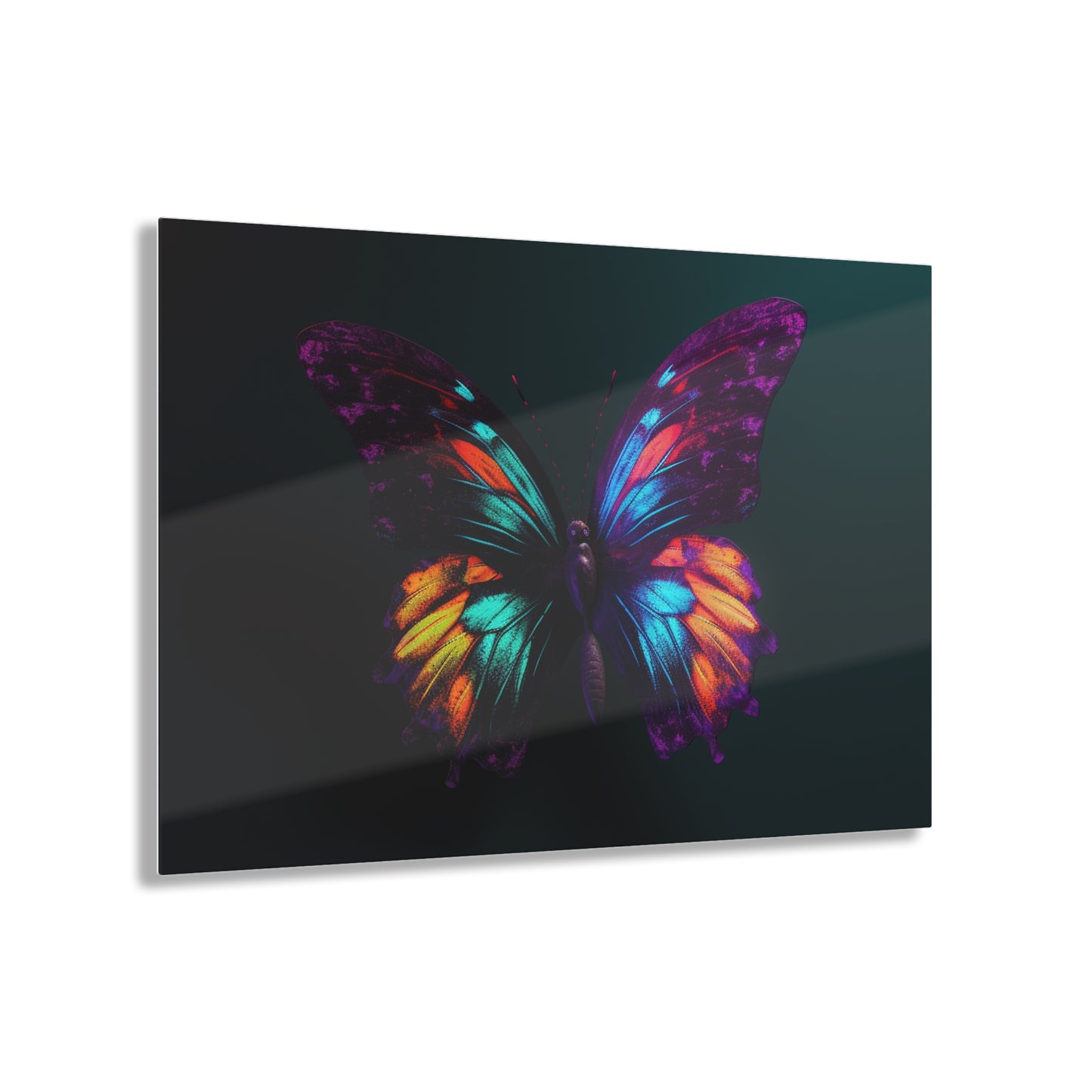 Acrylic Prints Hyper Colorful Butterfly Purple 1