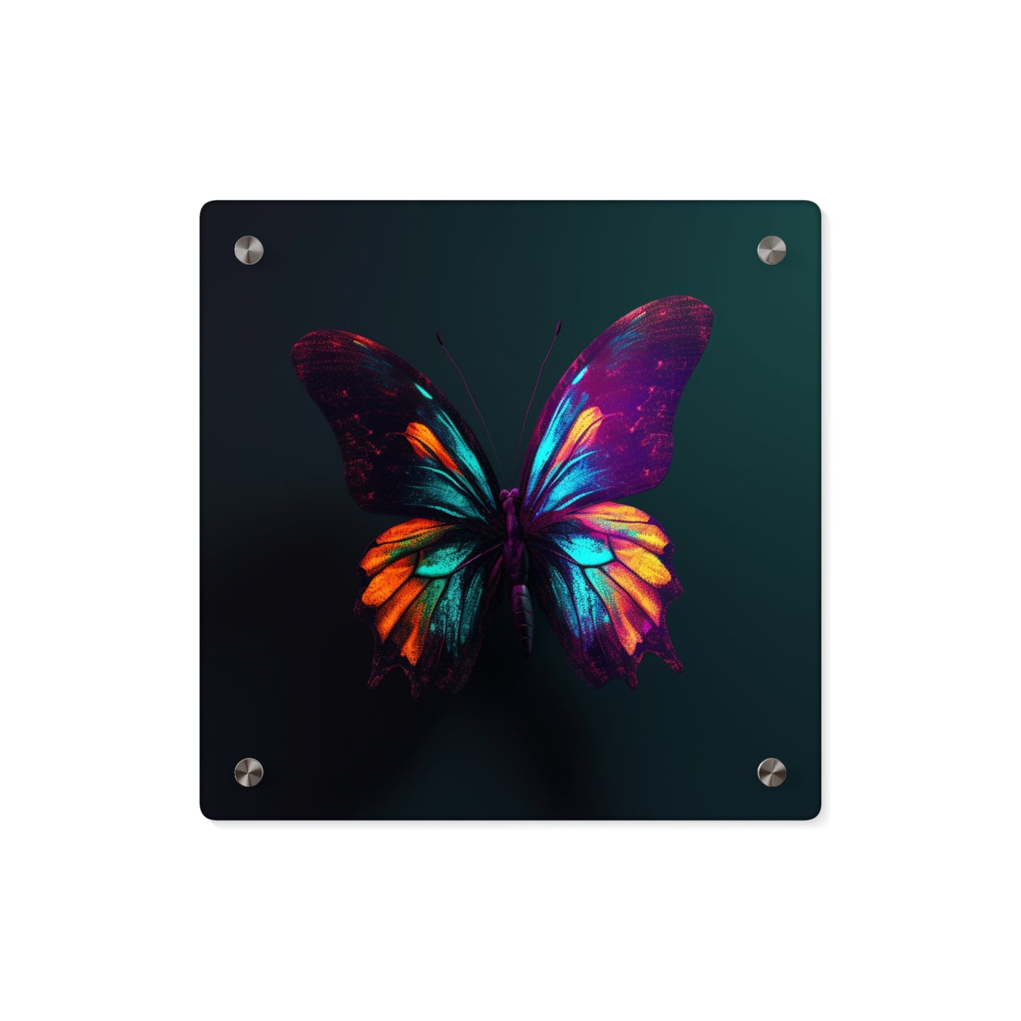 Acrylic Wall Art Panels Hyper Colorful Butterfly Macro 4