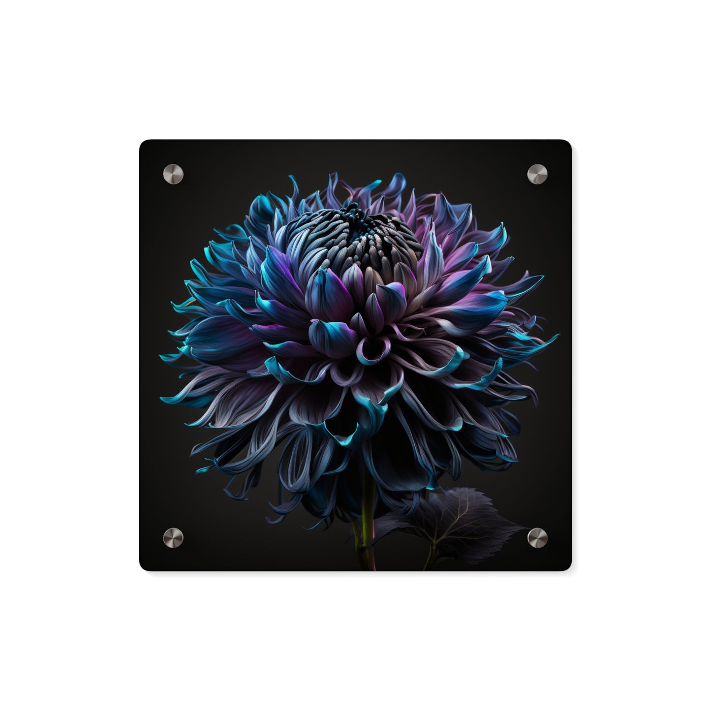 Acrylic Wall Art Panels Dahlia Purple 3