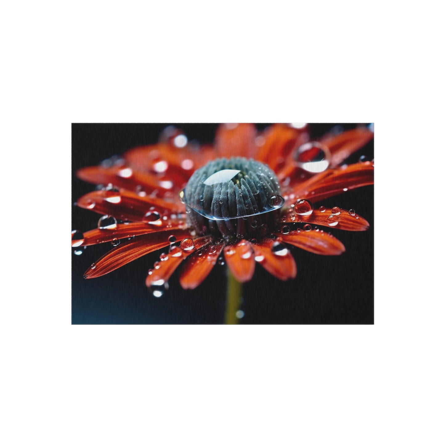 Outdoor Rug  Water drop Macro Flower 1