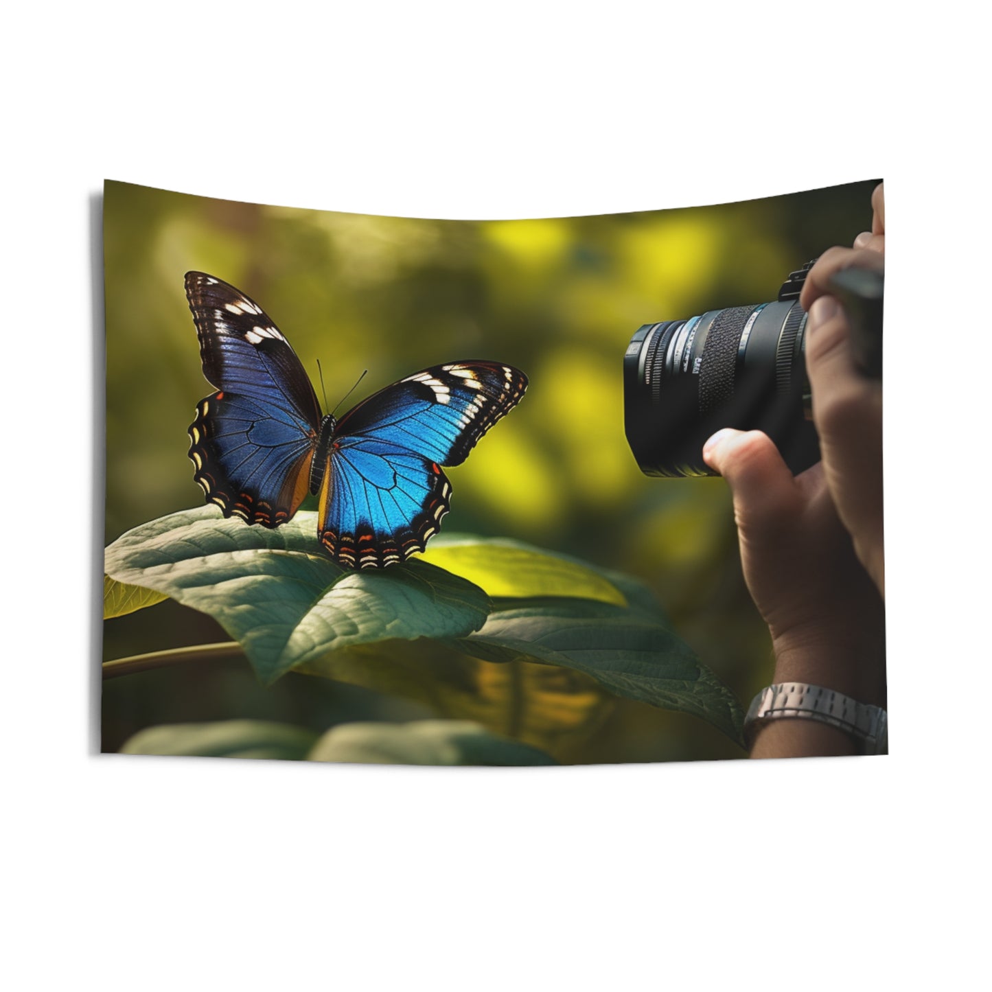 Indoor Wall Tapestries Jungle Butterfly 3