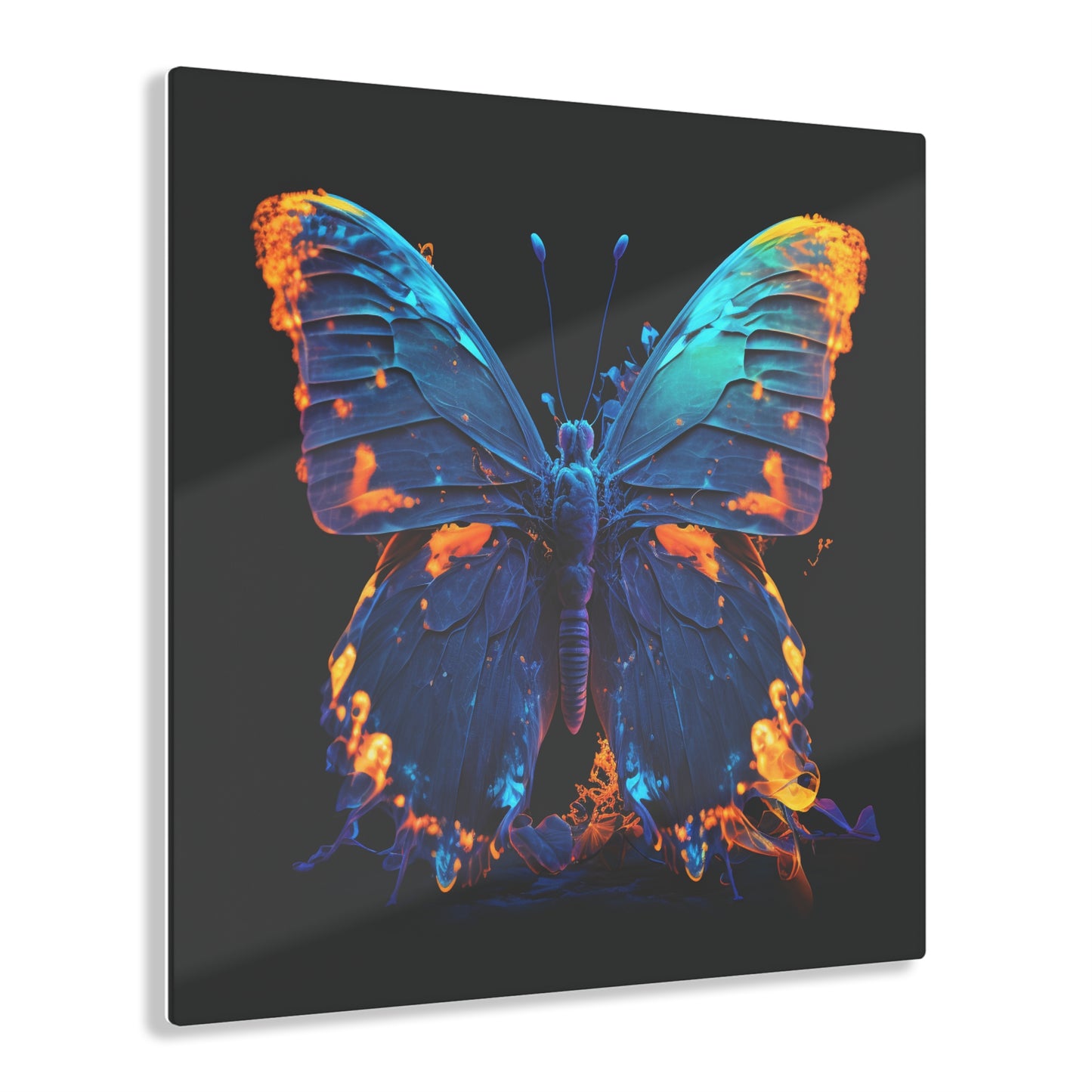 Acrylic Prints Thermal Butterfly 3