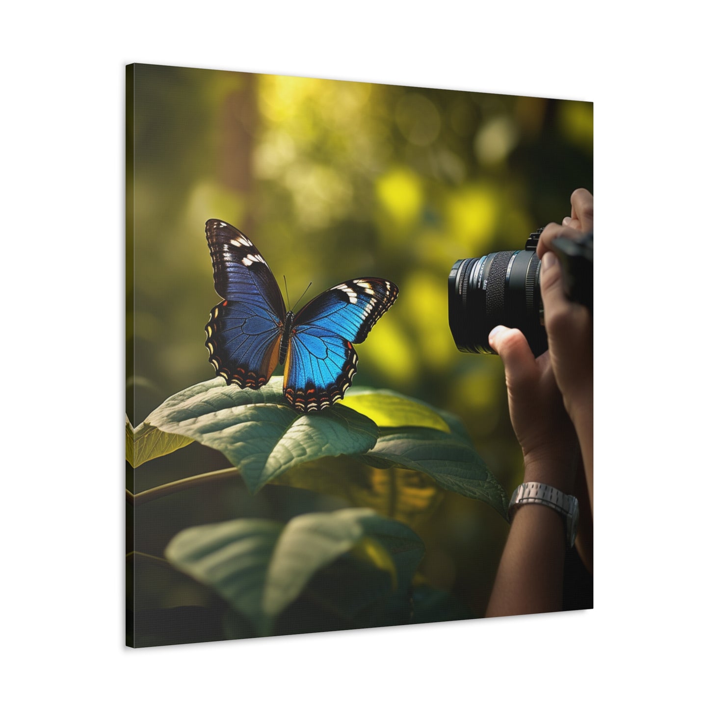 Canvas Gallery Wraps Jungle Butterfly 3