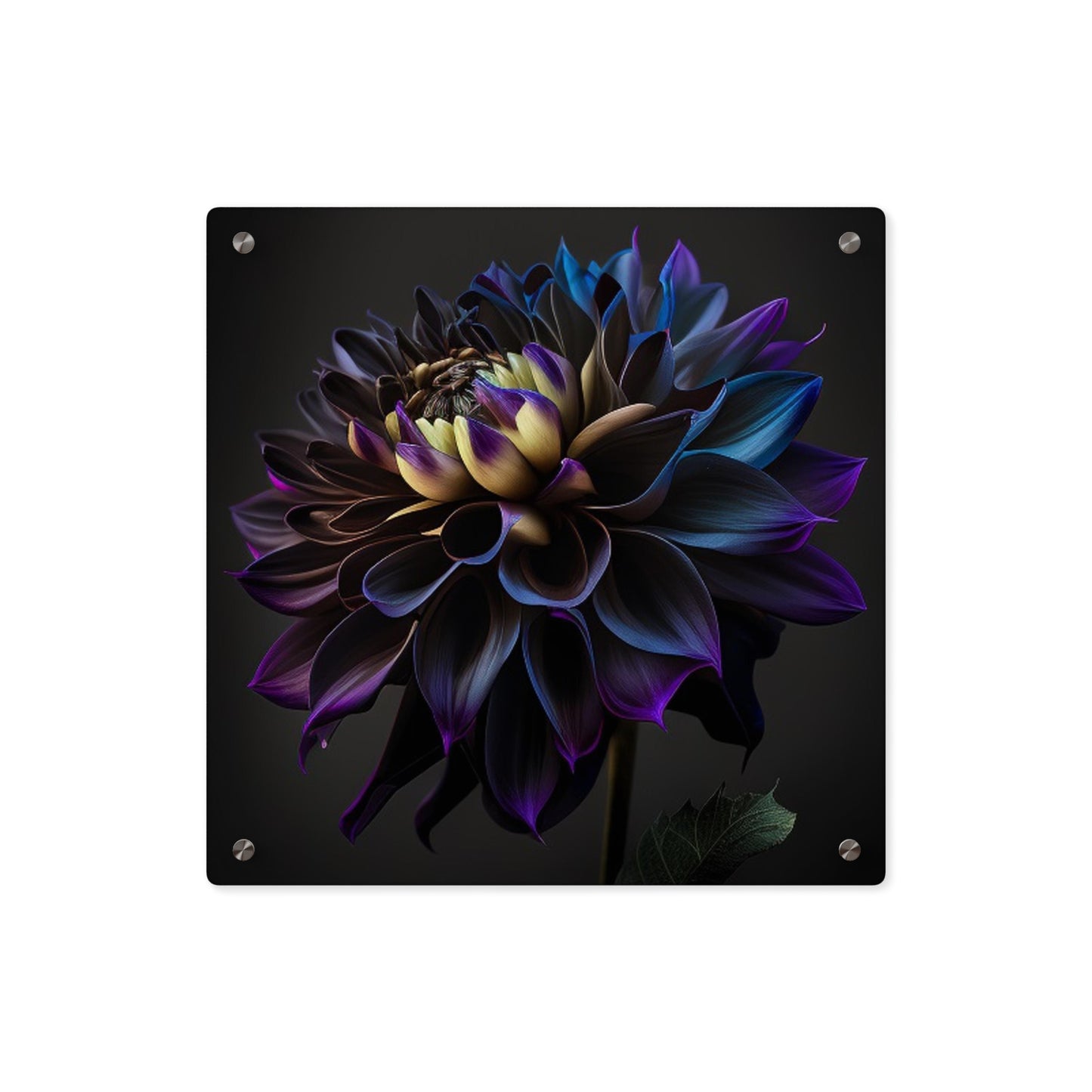 Acrylic Wall Art Panels Dahlia Purple 1