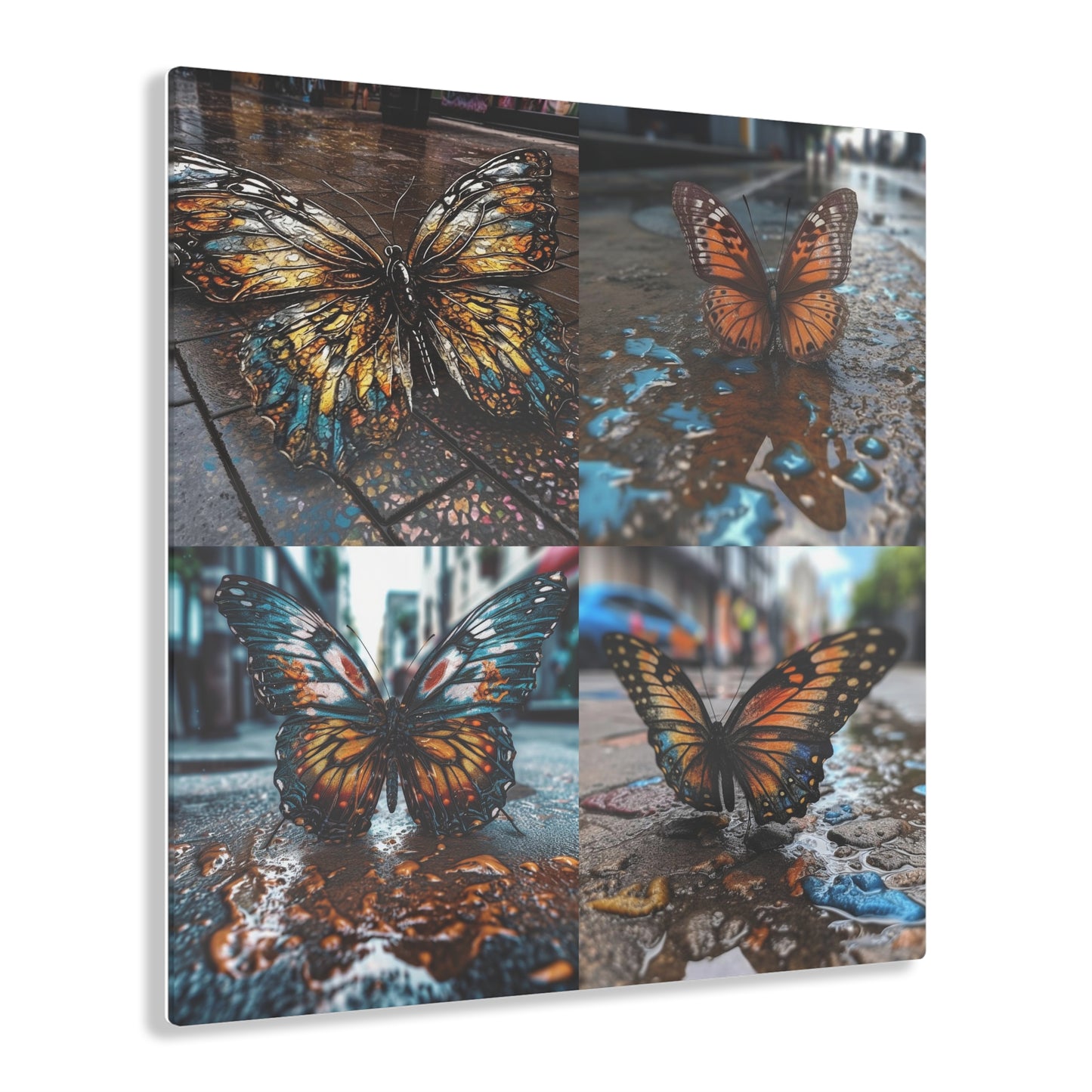 Acrylic Prints Water Butterfly Street 5