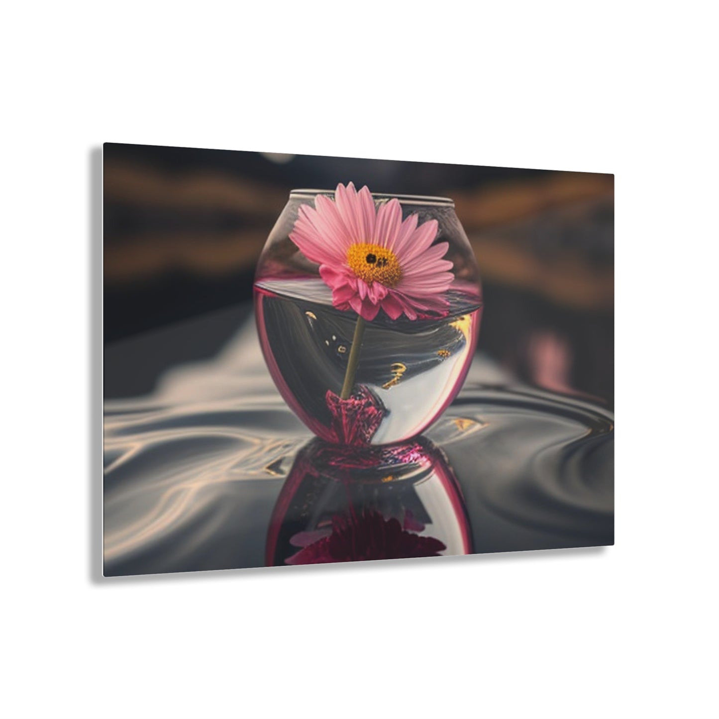 Acrylic Prints Pink Daisy 1