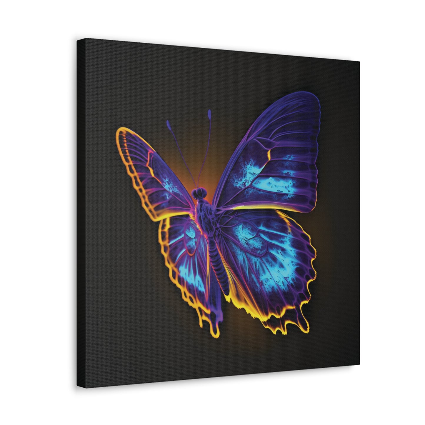 Canvas Gallery Wraps Thermal Butterfly 4