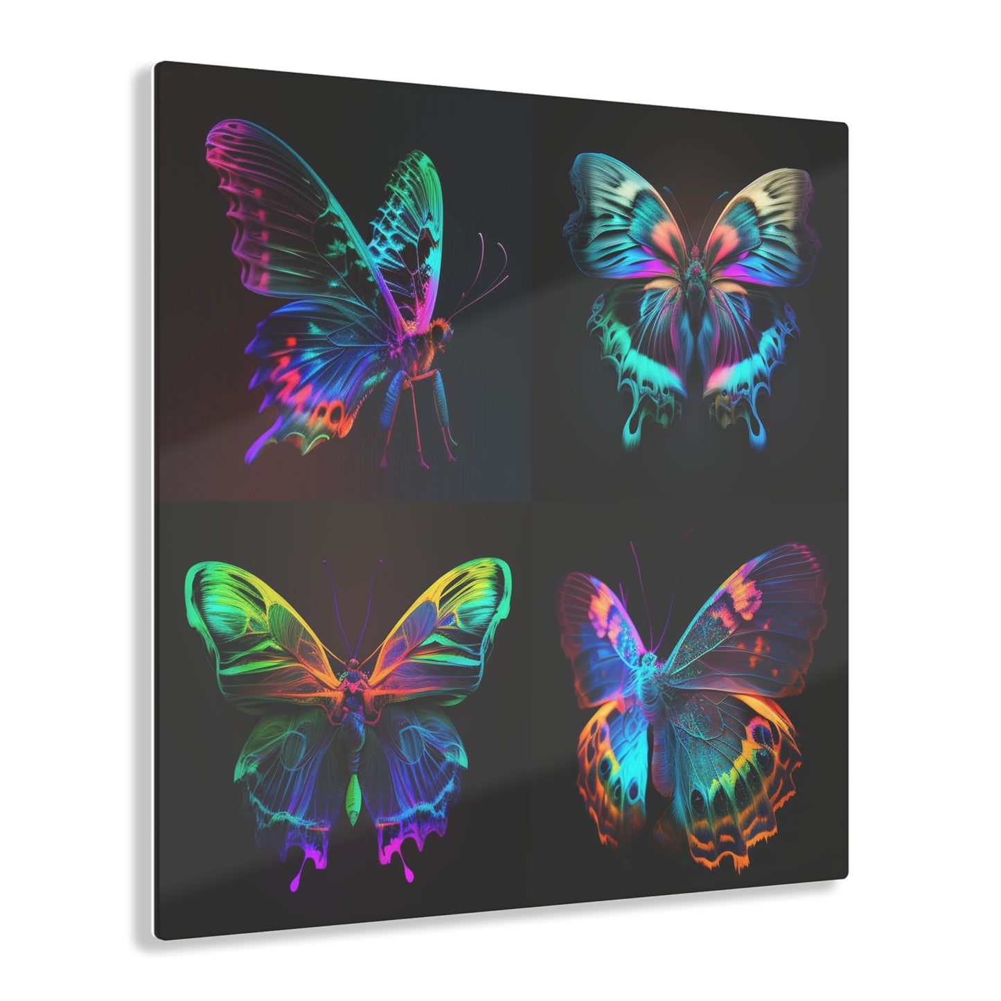 Acrylic Prints Raw Hyper Color Butterfly 5