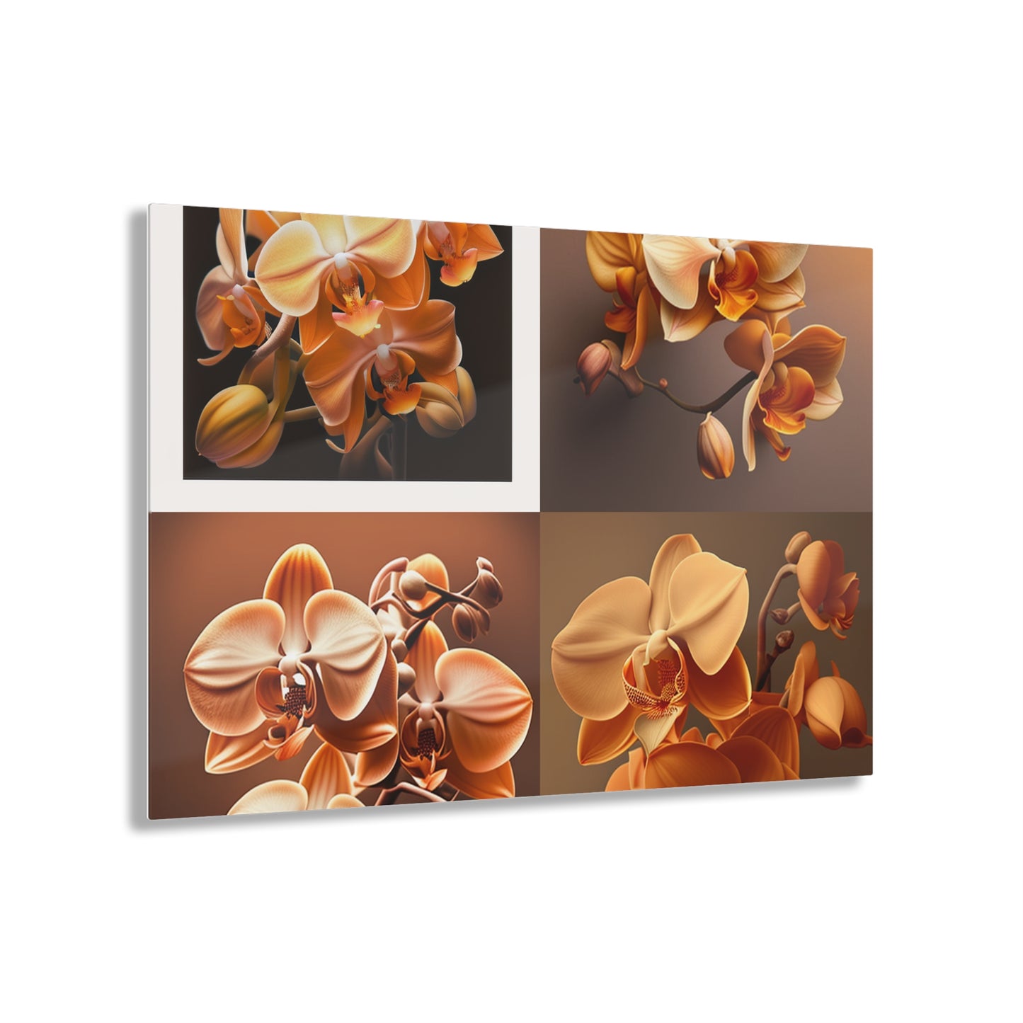 Acrylic Prints orchid pedals 5