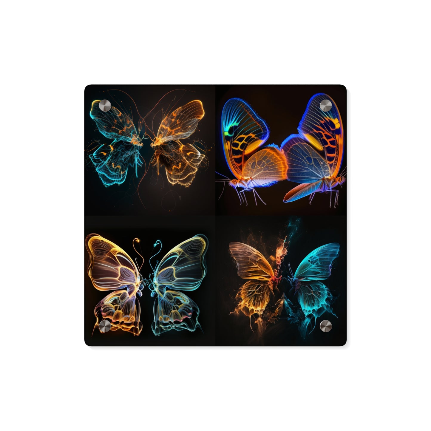 Acrylic Wall Art Panels Neon Glo Butterfly 5