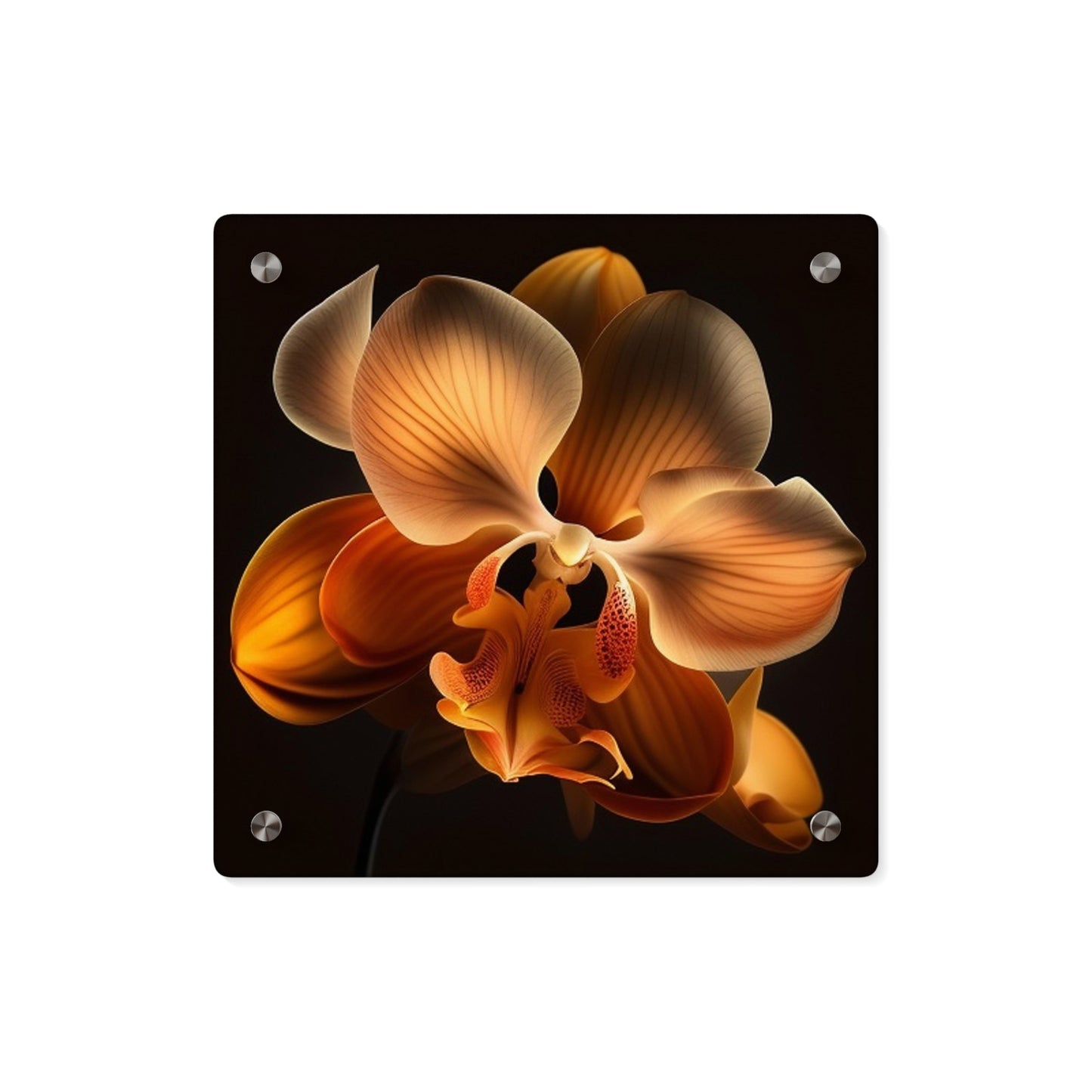 Acrylic Wall Art Panels Orange Orchid 2