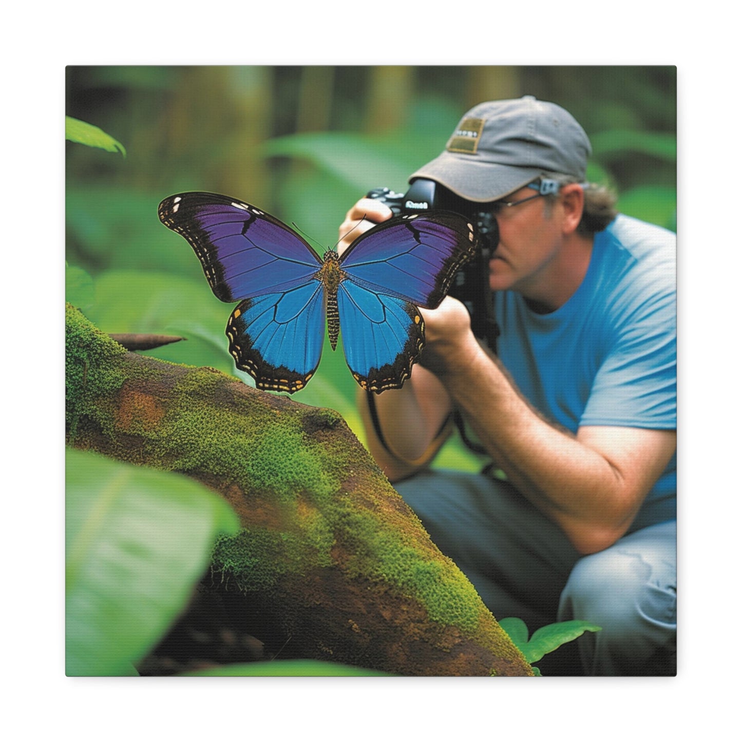 Canvas Gallery Wraps Jungle Butterfly 4