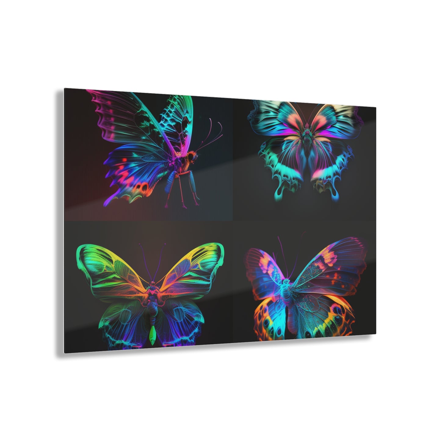 Acrylic Prints Raw Hyper Color Butterfly 5