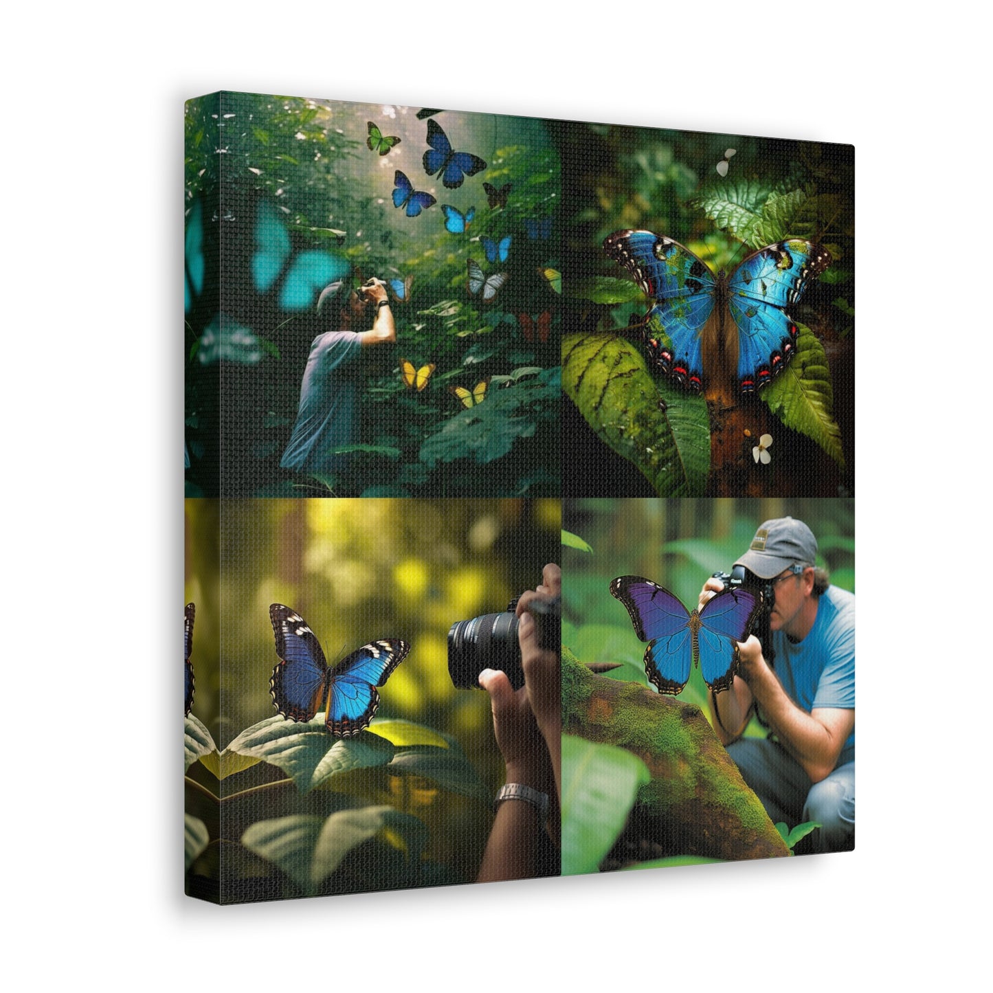 Canvas Gallery Wraps Jungle Butterfly 5