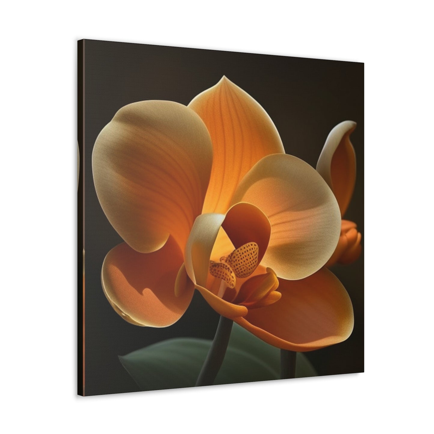 Canvas Gallery Wraps Orange Orchid 4