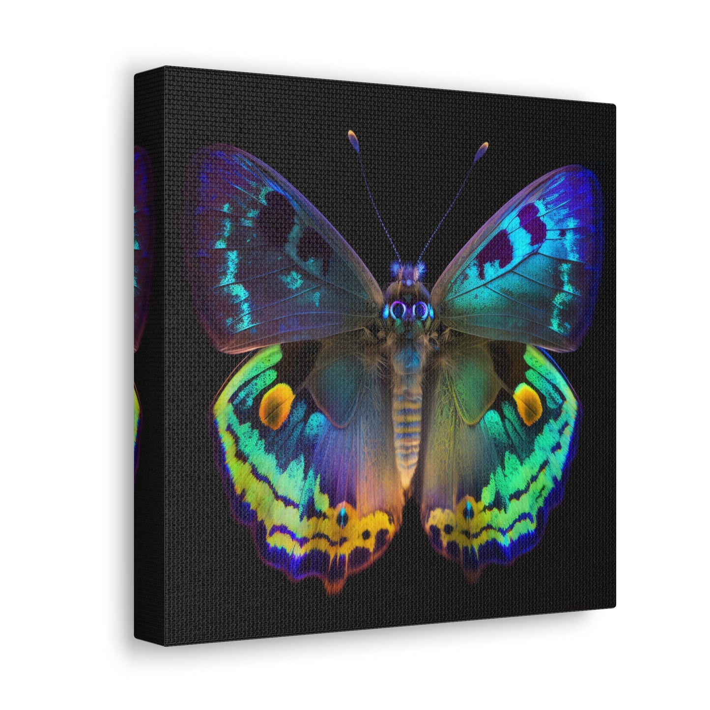 Canvas Gallery Wraps Neon Hue Butterfly 4