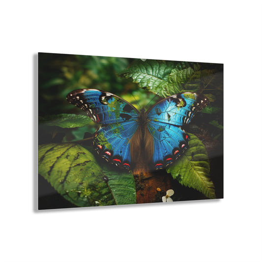Acrylic Prints Jungle Butterfly 2