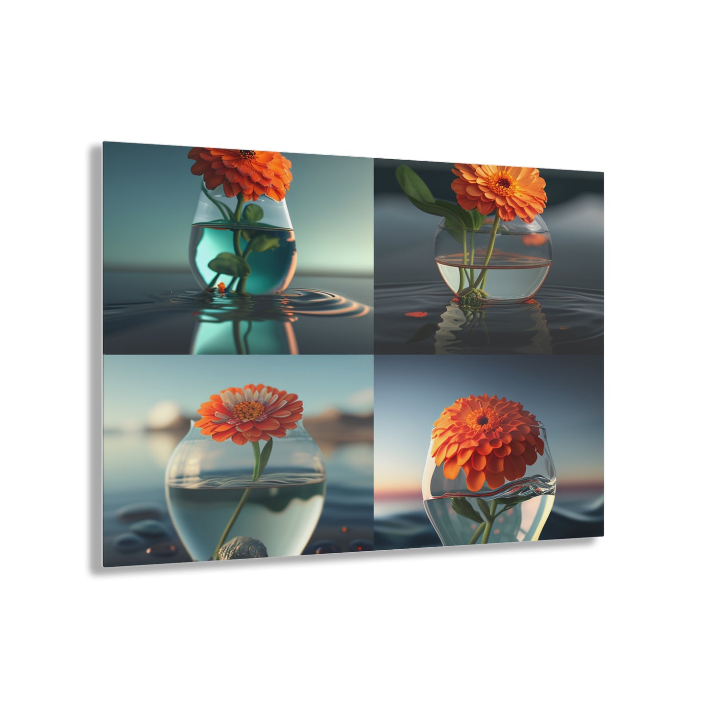 Acrylic Prints Orange Zinnia 5