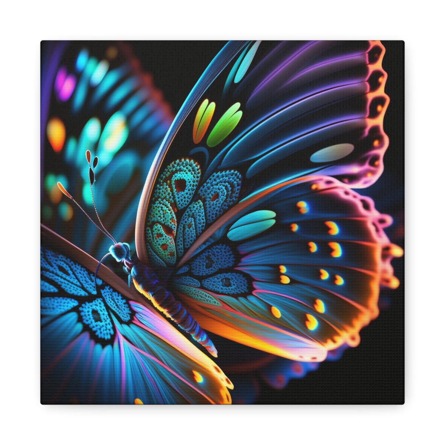 Canvas Gallery Wraps Neon Butterfly Macro 2