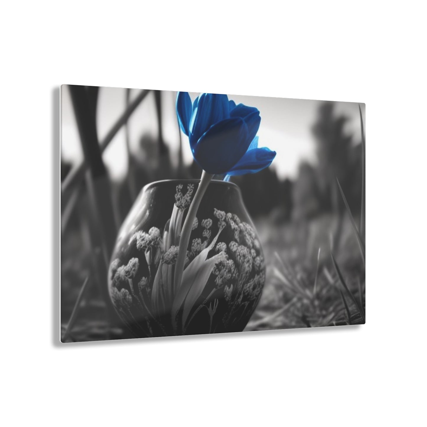 Acrylic Prints Tulip 3