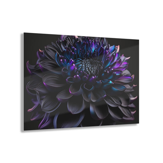 Acrylic Prints Dahlia Purple 2