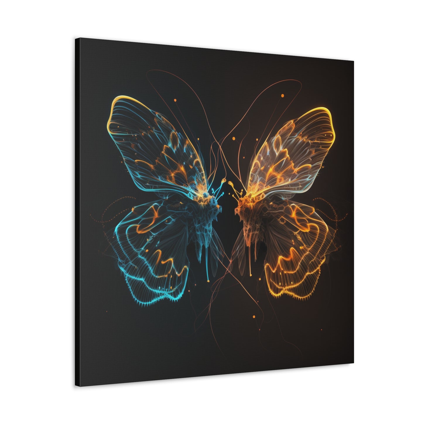 Canvas Gallery Wraps Neon Glo Butterfly 1