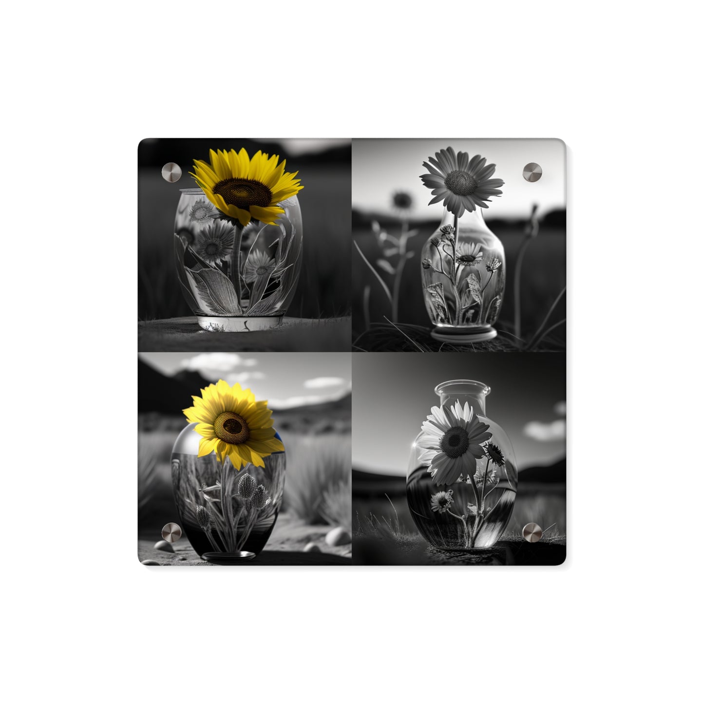 Acrylic Wall Art Panels Yellw Sunflower in a vase 5