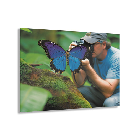 Acrylic Prints Jungle Butterfly 4