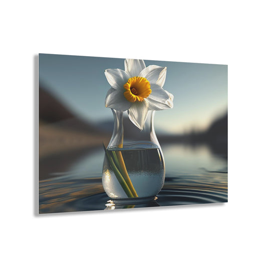 Acrylic Prints Daffodil 3