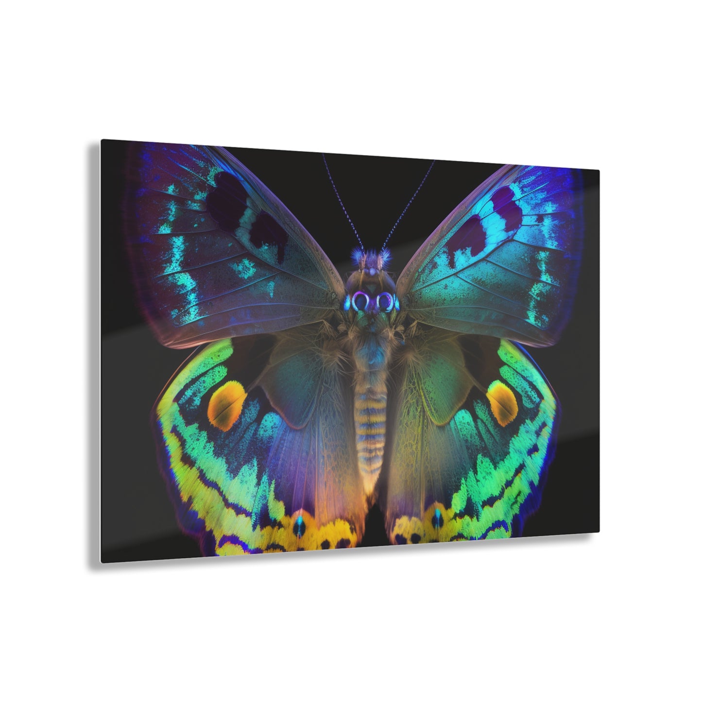 Acrylic Prints Neon Hue Butterfly 4