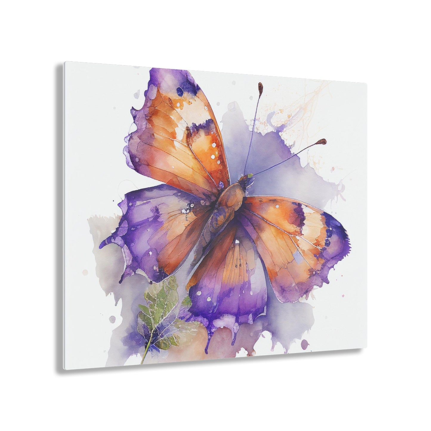 Acrylic Prints MerlinRose Watercolor Butterfly 2