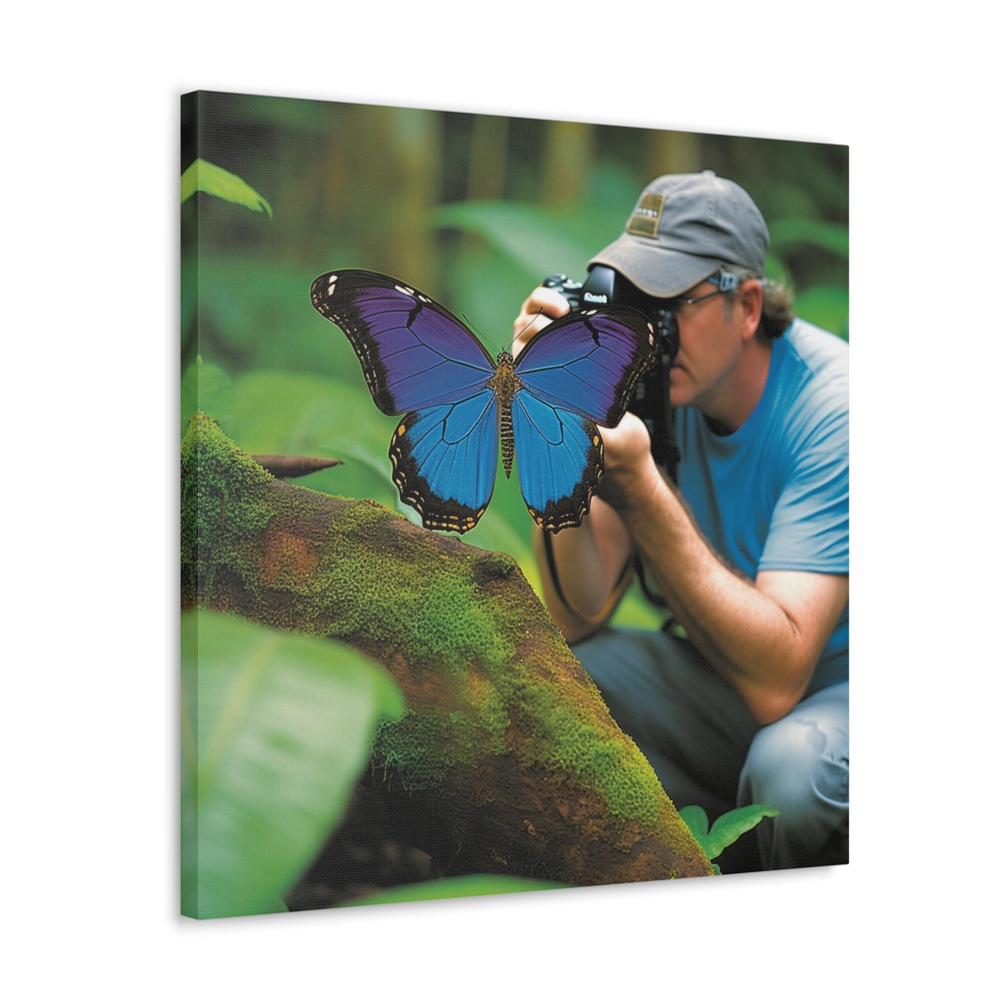 Canvas Gallery Wraps Jungle Butterfly 4