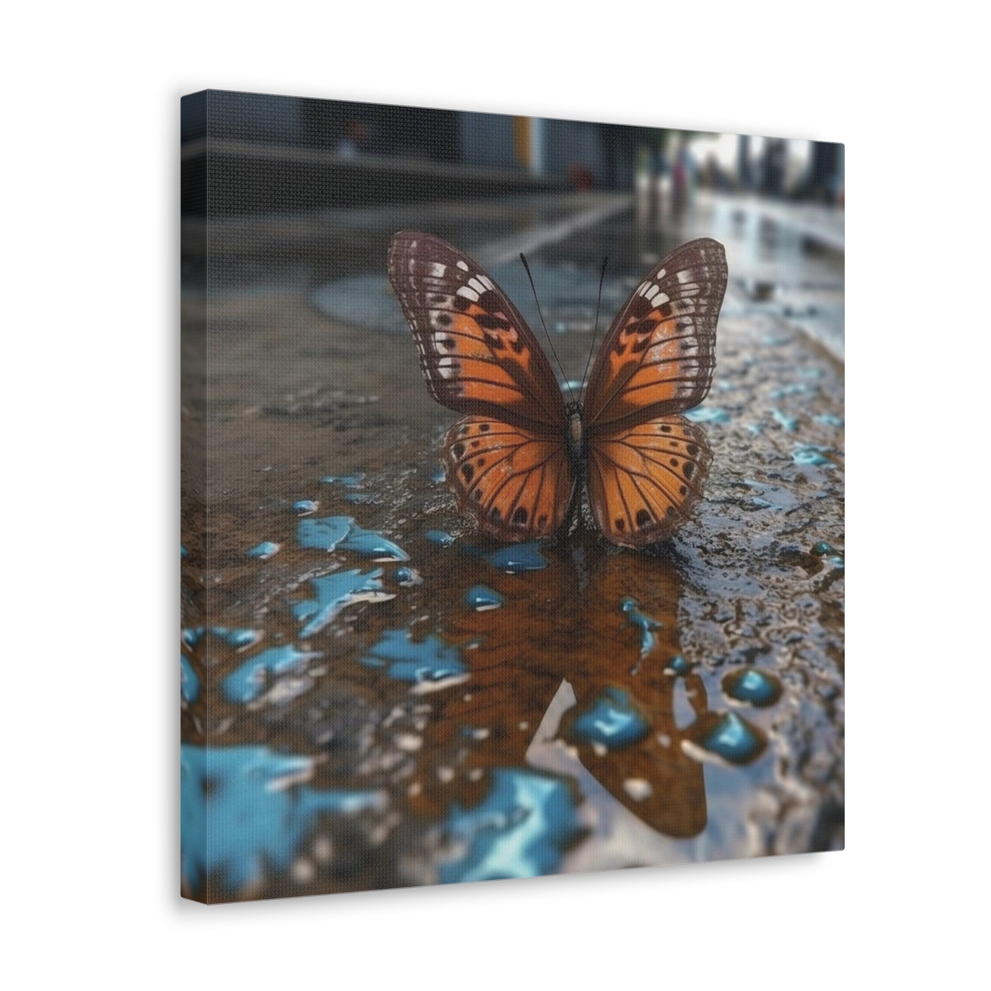 Canvas Gallery Wraps Water Butterfly Street 2