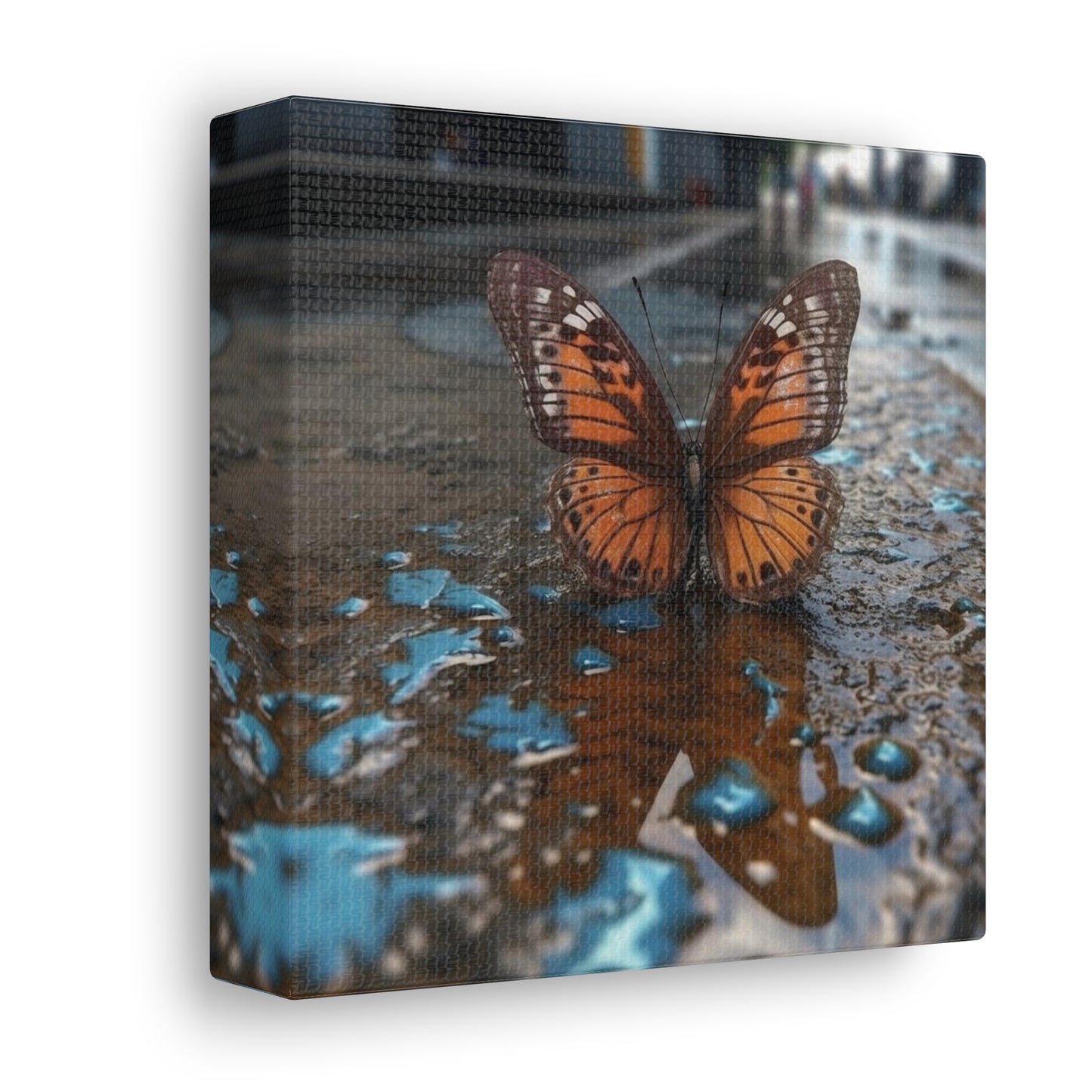 Canvas Gallery Wraps Water Butterfly Street 2