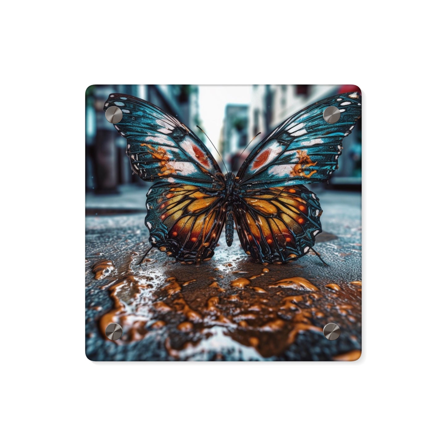 Acrylic Wall Art Panels Water Butterfly Street 3