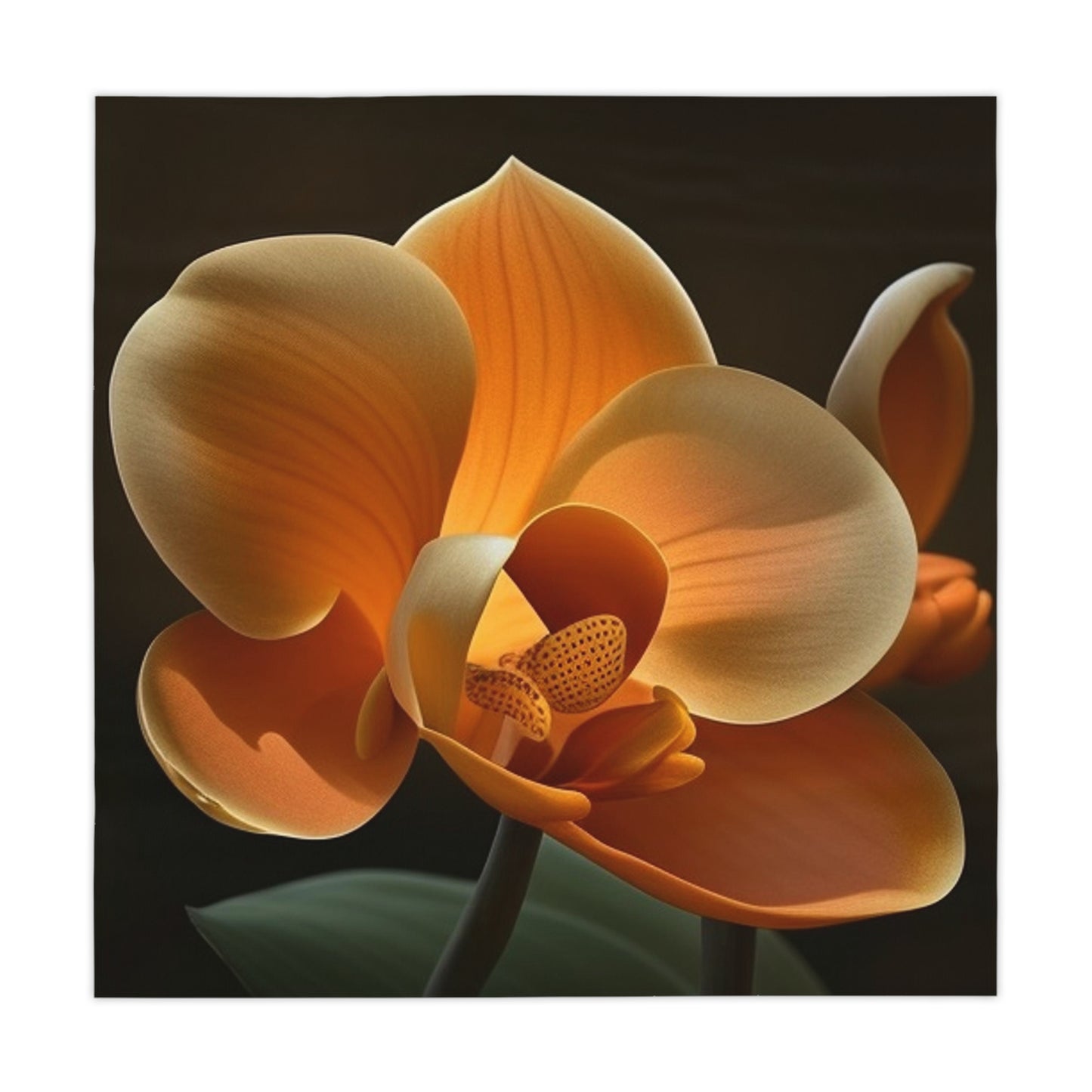 Tablecloth Orange Orchid 4