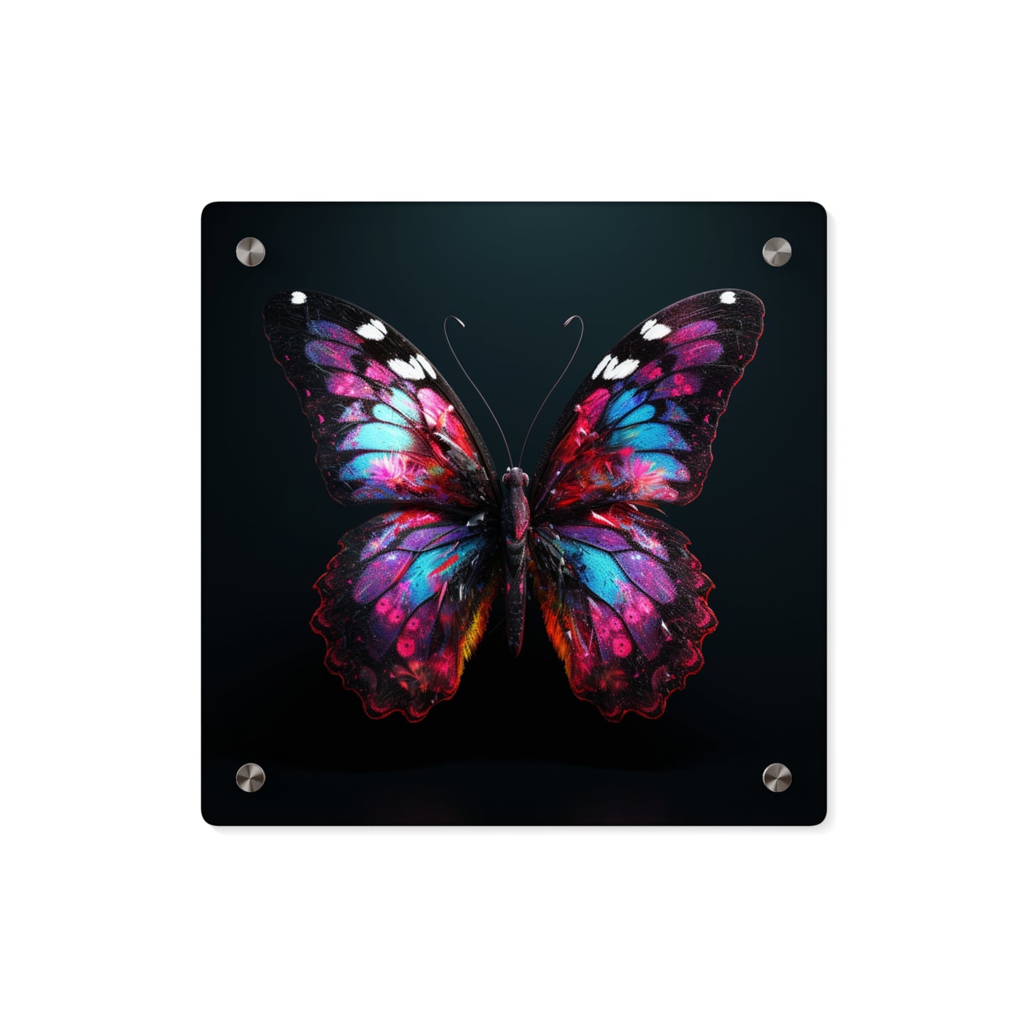 Acrylic Wall Art Panels Hyper Butterfly Real