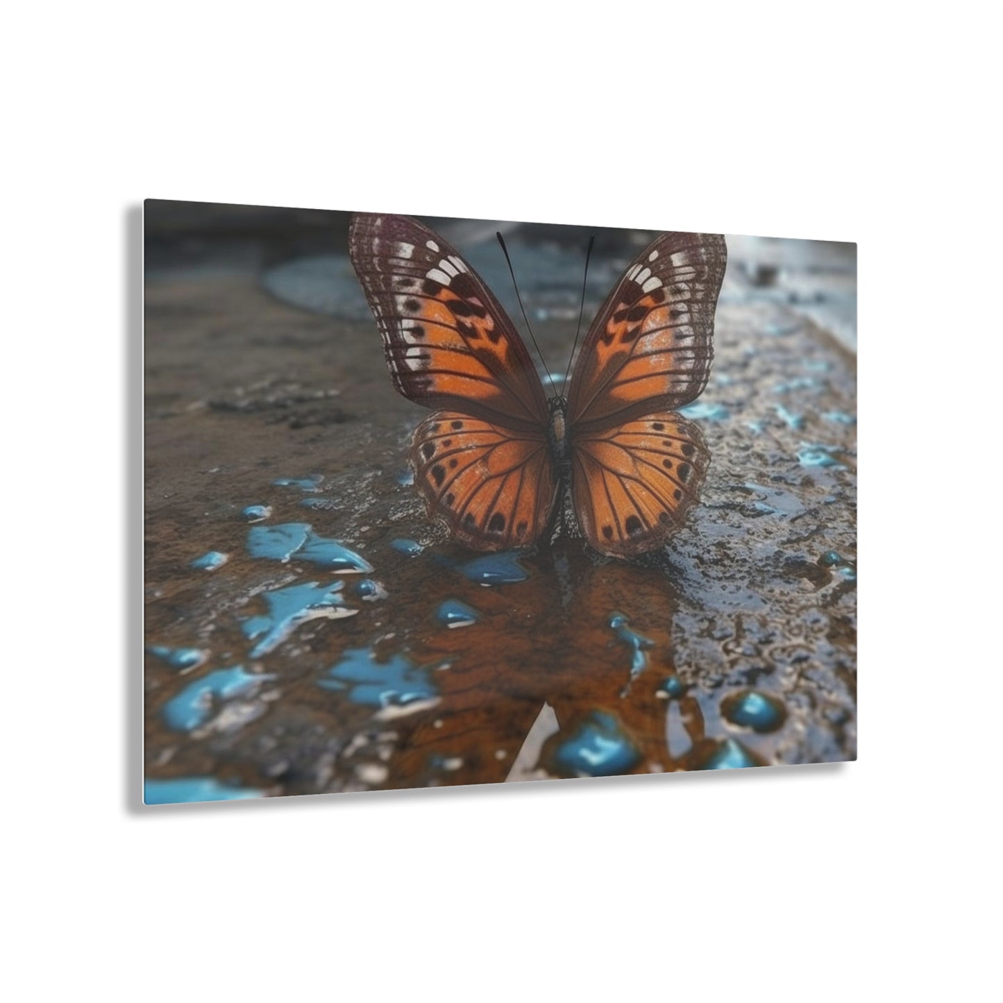 Acrylic Prints Water Butterfly Street 2