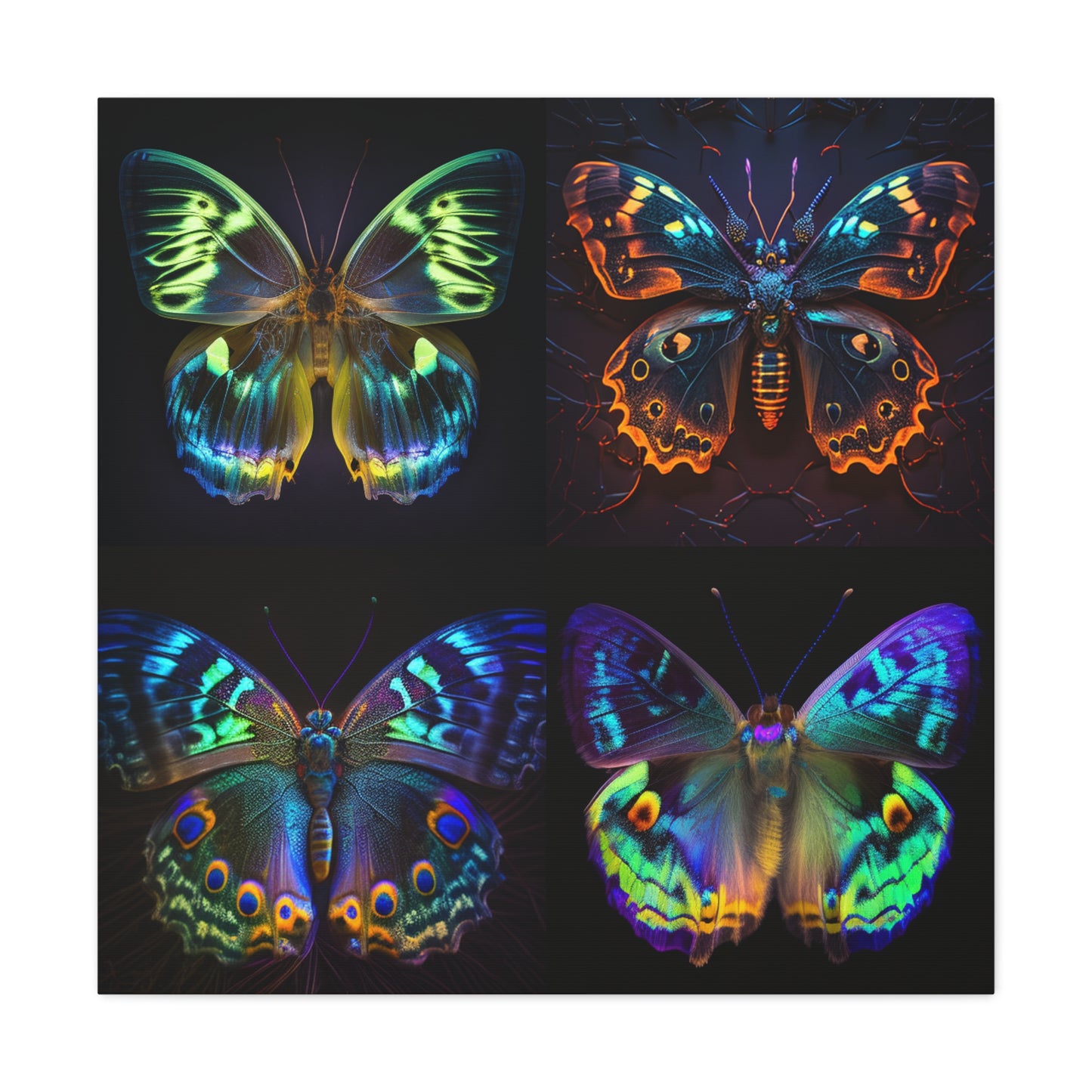 Canvas Gallery Wraps Neon Hue Butterfly 5