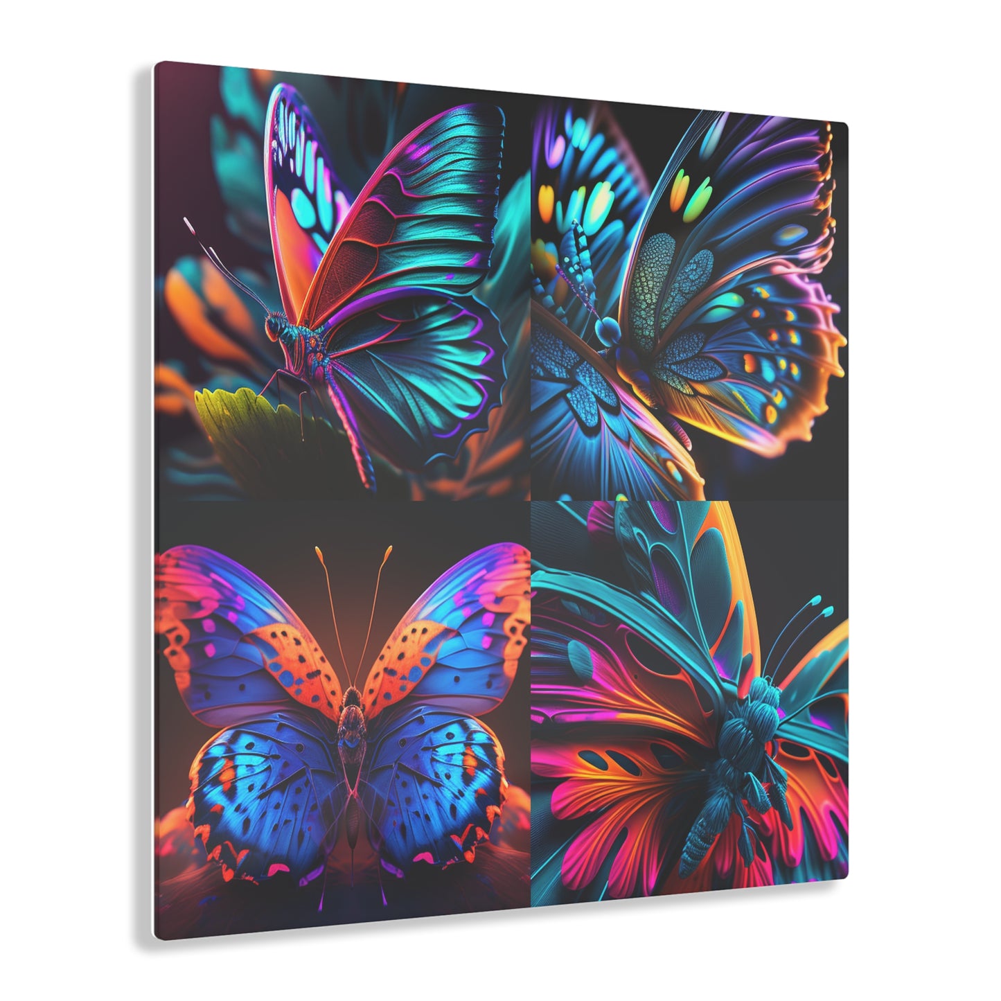 Acrylic Prints Neon Butterfly Macro 5