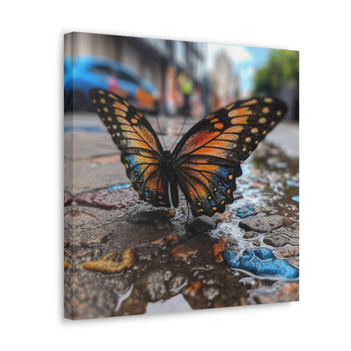 Canvas Gallery Wraps Water Butterfly Street 4