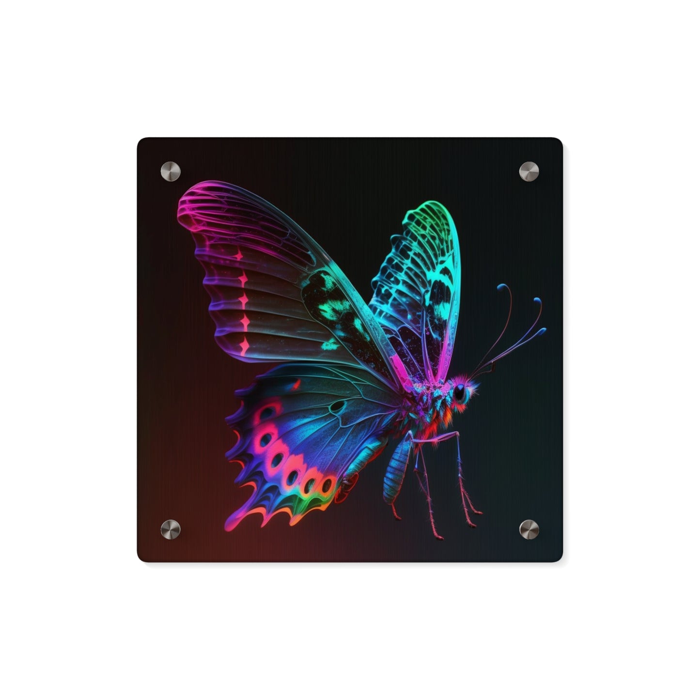 Acrylic Wall Art Panels Raw Hyper Color Butterfly 1